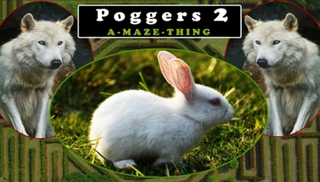 Купить Poggers 2 - A-Maze-Thing