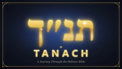 Купить Tanach: A Journey Through the Hebrew Bible