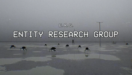Купить Entity Research Group