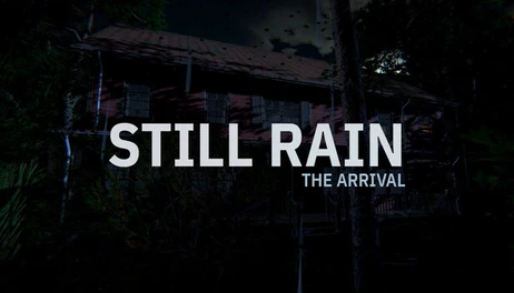 Купить Still Rain