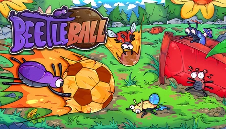 Купить Beetleball