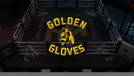 Купить Golden Gloves VR