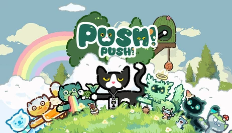 Купить Push Push