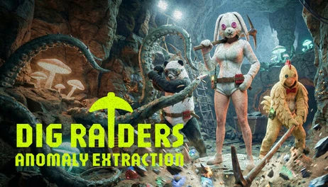 Купить DIG Raiders