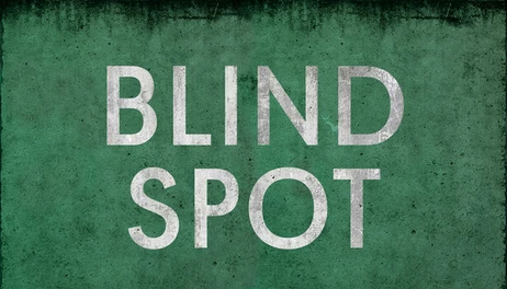 Купить Blind Spot