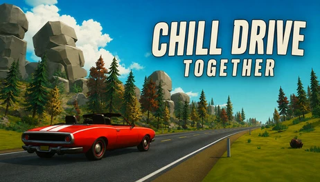 Купить Chill Drive Together