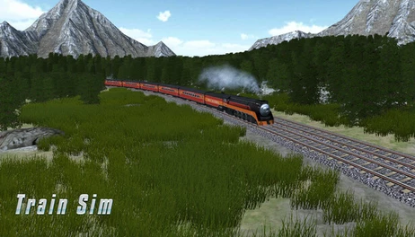 Купить Train Sim