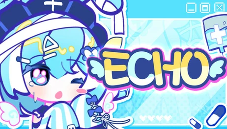 Купить ECHO Pro Edition