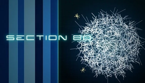 Купить Section 80