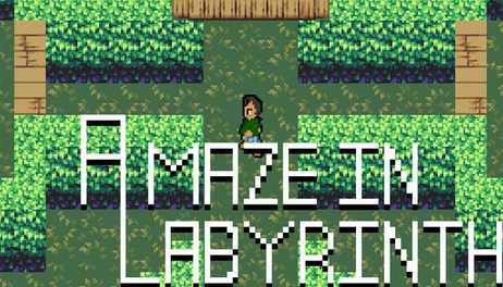 Купить A Maze In Labyrinth