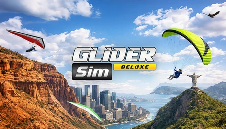 Купить Glider Sim