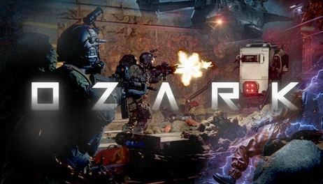 Купить OZARK