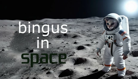 Купить Bingus In Space