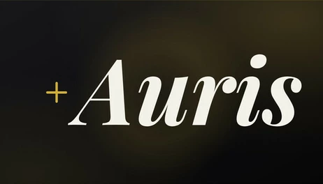Купить AurisPlayer