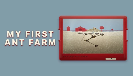 Купить My First Ant Farm