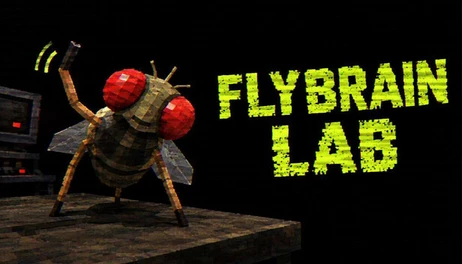 Купить FLYBRAIN LAB