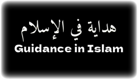 Купить Guidance in Islam