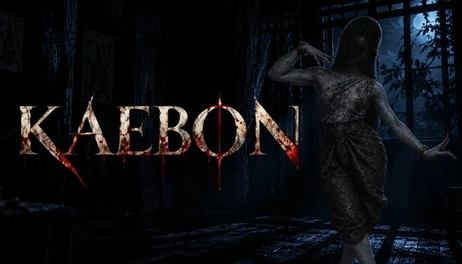 Купить KAEBON
