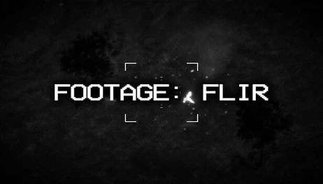 Купить Footage: FLIR