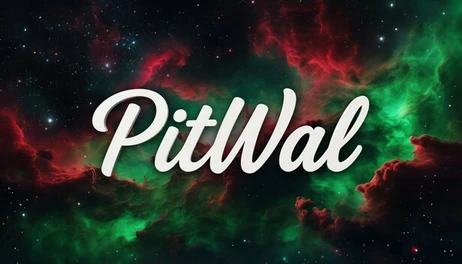Купить PitWal