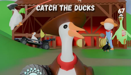 Купить Catch The Ducks