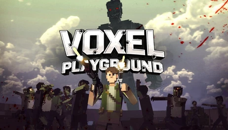 Купить Voxel Playground