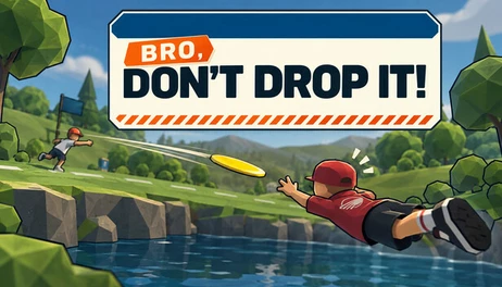 Купить BRO, DON'T DROP IT!