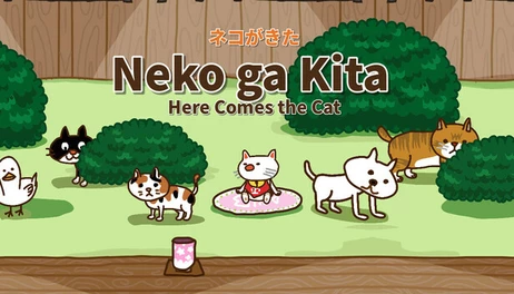 Купить Neko ga Kita: Here Comes the Cat