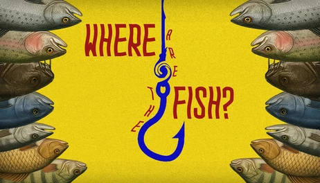 Купить Where are the Fish?