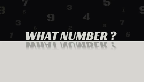 Купить WHAT NUMBER?