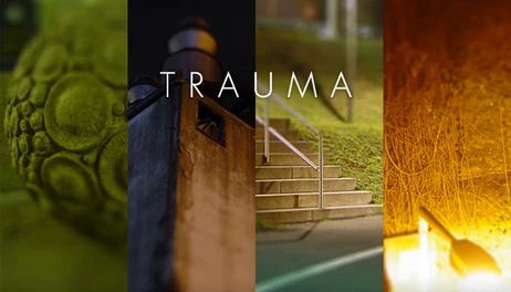 Купить Trauma