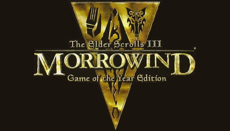 Купить The Elder Scrolls III: Morrowind Game of the Year Edition