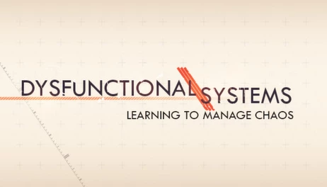 Купить Dysfunctional Systems: Learning to Manage Chaos