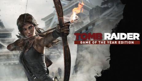 Купить Tomb Raider GOTY Edition