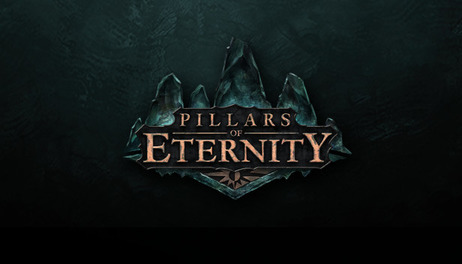 Купить Pillars of Eternity Hero Edition