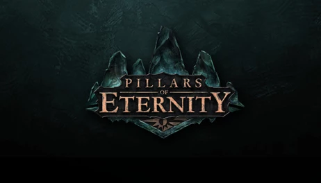 Купить Pillars of Eternity Hero Edition