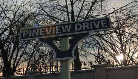Купить Pineview Drive
