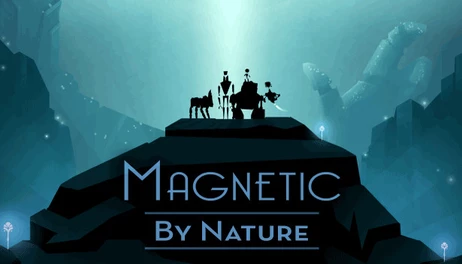 Купить Magnetic By Nature