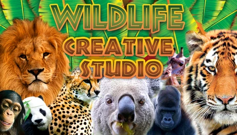 Купить Wildlife Creative Studio
