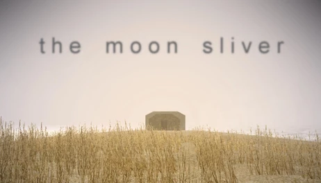 Купить The Moon Sliver