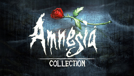 Купить Amnesia Collection