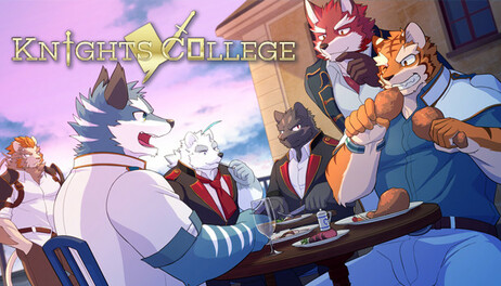 Купить Knights College