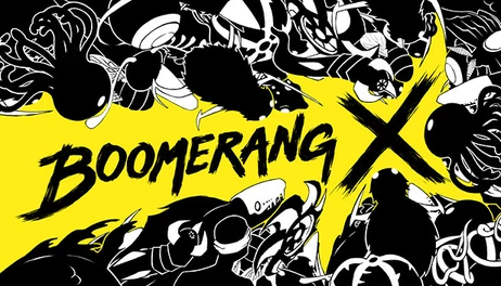 Купить Boomerang X