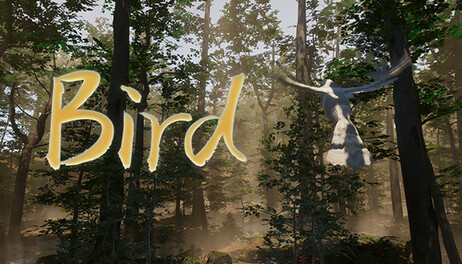 Купить Bird