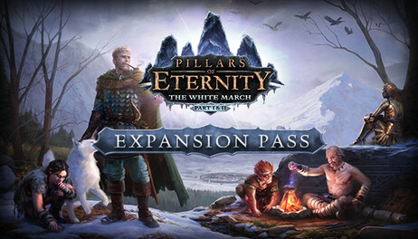 Купить Pillars of Eternity - The White March Expansion Pass