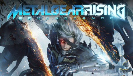 Купить Metal Gear Rising