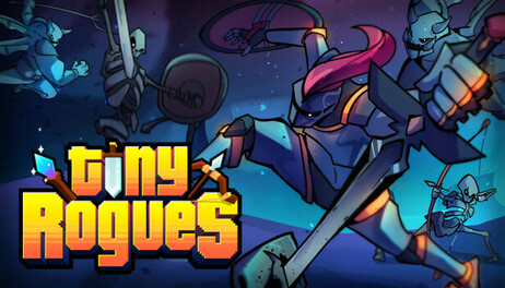 Купить Tiny Rogues