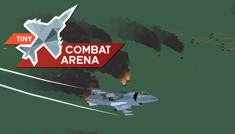 Купить Tiny Combat Arena