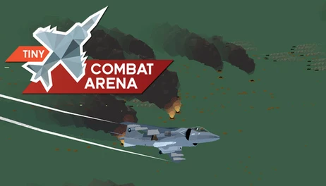 Купить Tiny Combat Arena
