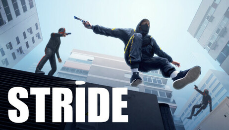 Купить STRIDE